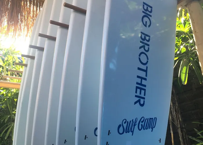 Big Brother Surf