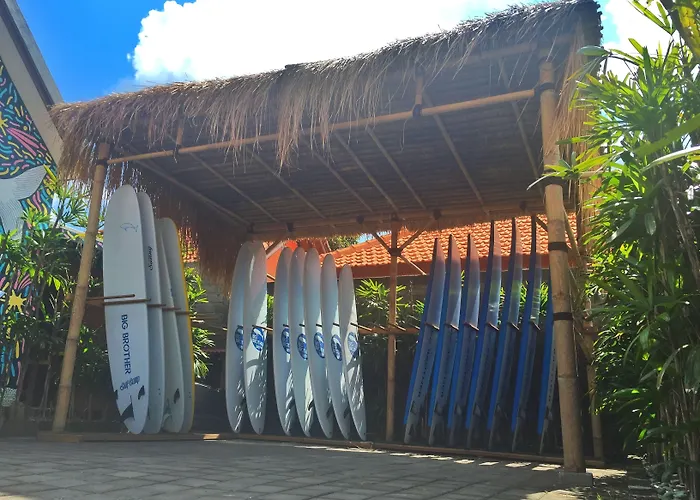 Big Brother Surf 3*